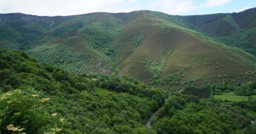 Descubre Pan do Zarco, el Mortirolo español