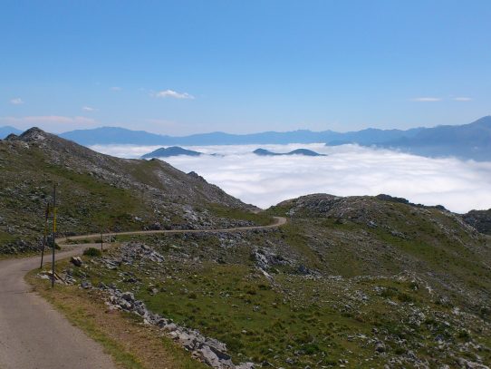 EL RETO DE LA CORONA DEL ARAMÓ