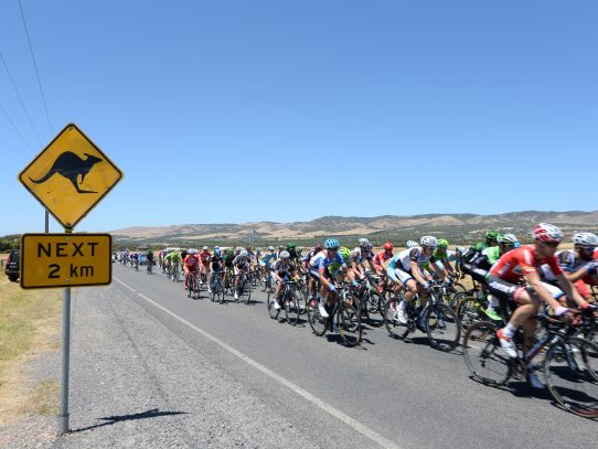 TOUR DOWN UNDER :  20 AÑOS DE UNA PRUEBA EN CONSTANTE CRECIMIENTO