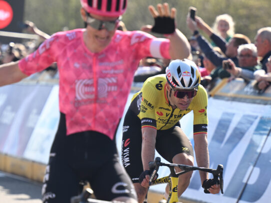 Previa Dwars door Vlaanderen 2026