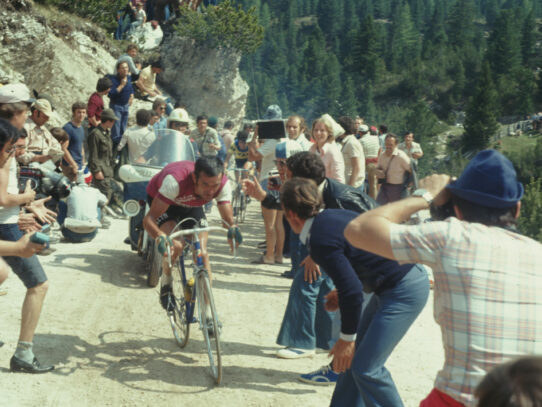DE VLAEMINCK, IL RE DEI DUE MARI